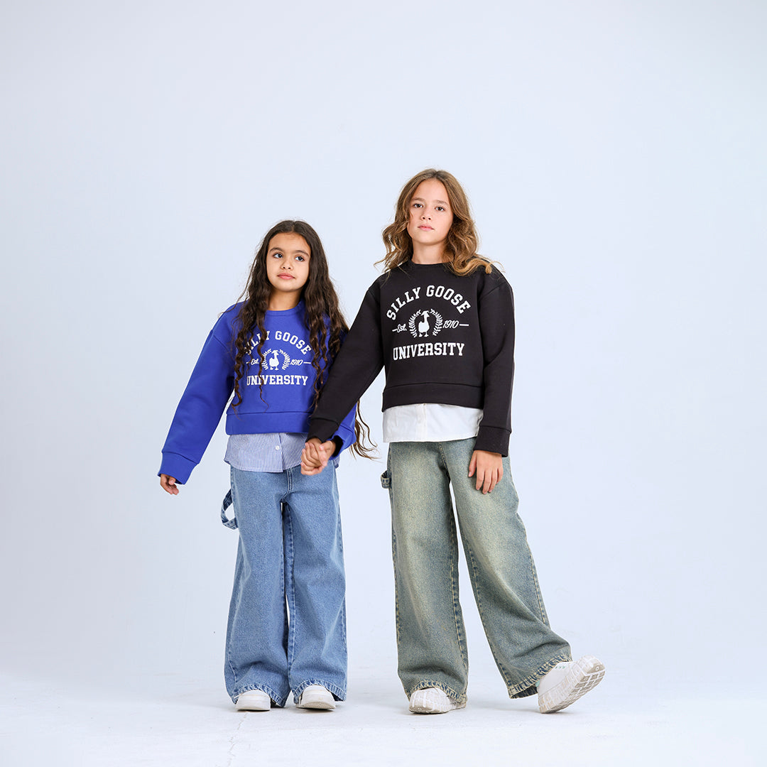 Shirt Sweatshirt